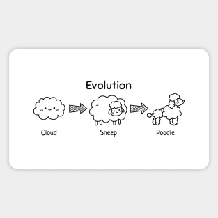 Evolution to Cloud, Sheep and Poodle Funny Magnet